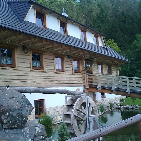 Guest house Mlynarka *